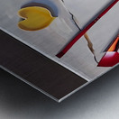 IMG 4138 Metal print