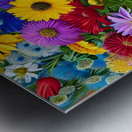 IMG 1273 Metal print