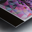 IMG 4231 Metal print