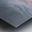 IMG 4322 Metal print