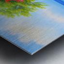 IMG 4362 Metal print