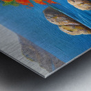 IMG 4371 Metal print