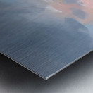 IMG 4332 Metal print