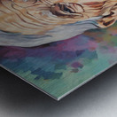 preview image  6403384316354351051 Metal print