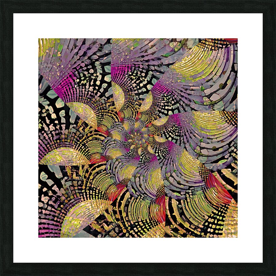 IMG 4288 Picture Frame print