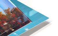 IMG 4187 HD Metal print