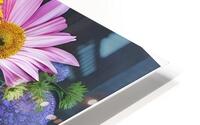 IMG 1252 HD Metal print