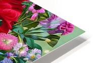 IMG 1272 HD Metal print