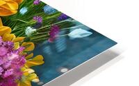 IMG 1268 HD Metal print