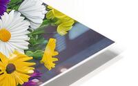 IMG 1247 HD Metal print