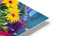 IMG 1283 HD Metal print