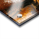 Autumn no.7 Acrylic print