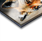 Wild no.13 Acrylic print