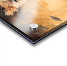 Wild no.36 Acrylic print