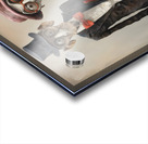 sassy 17 Acrylic print