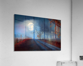 Autumn night no.3 Acrylic Print