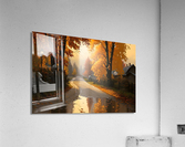 Autumn no.8 Acrylic Print