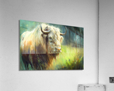 Wild no.5 Acrylic Print