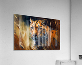 Wild no.6 Acrylic Print
