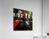 Warrior Ladybug no.11 Acrylic Print