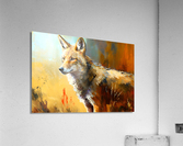 Wild no.20 Acrylic Print