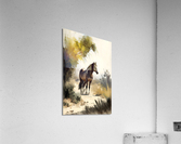 Wild no.24 Acrylic Print
