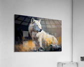 Wild no.26 Acrylic Print