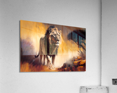 Wild no.33 Acrylic Print