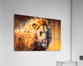 Wild no.34 Acrylic Print