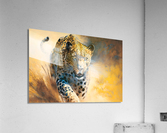 Wild no.35 Acrylic Print
