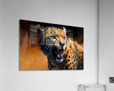 Wild no.37 Acrylic Print
