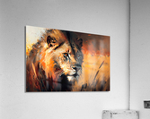 Wild no.38 Acrylic Print
