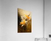 FLOWER WORLD no.62 Acrylic Print