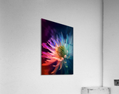 FLOWER WORLD no.73 Acrylic Print
