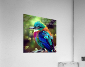 Wild no.82 Acrylic Print
