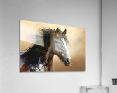 Wild no.86 Acrylic Print