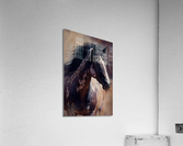 Wild no.87 Acrylic Print