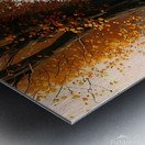 Autumn no.7 Metal print