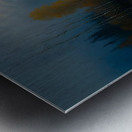 Autumn no.40 Metal print