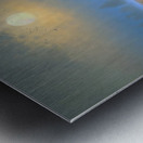 Autumn no.49 Metal print