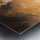 Wild no.36 Metal print