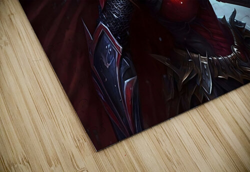 Warrior Ladybug no.9 draszyr puzzle