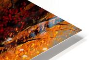 Autumn no.5 HD Metal print