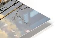 Autumn no.16 HD Metal print
