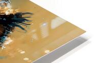 Wild no.9 HD Metal print