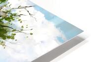 Spring no.60 HD Metal print