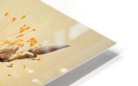 FLOWER WORLD no.62 HD Metal print