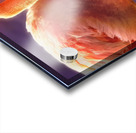 Flamingo sunset 2 Acrylic print