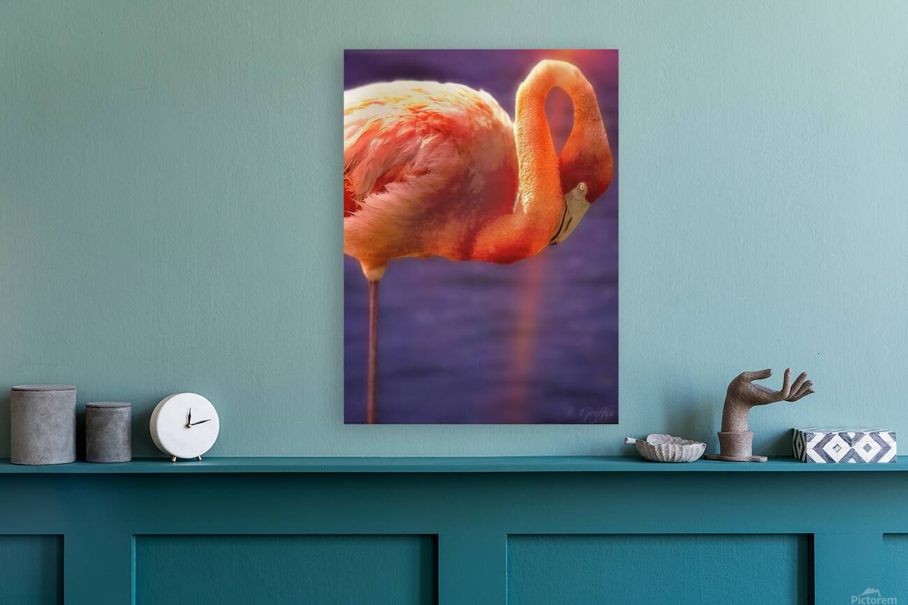 Flamingo sunset 2 Reproduction