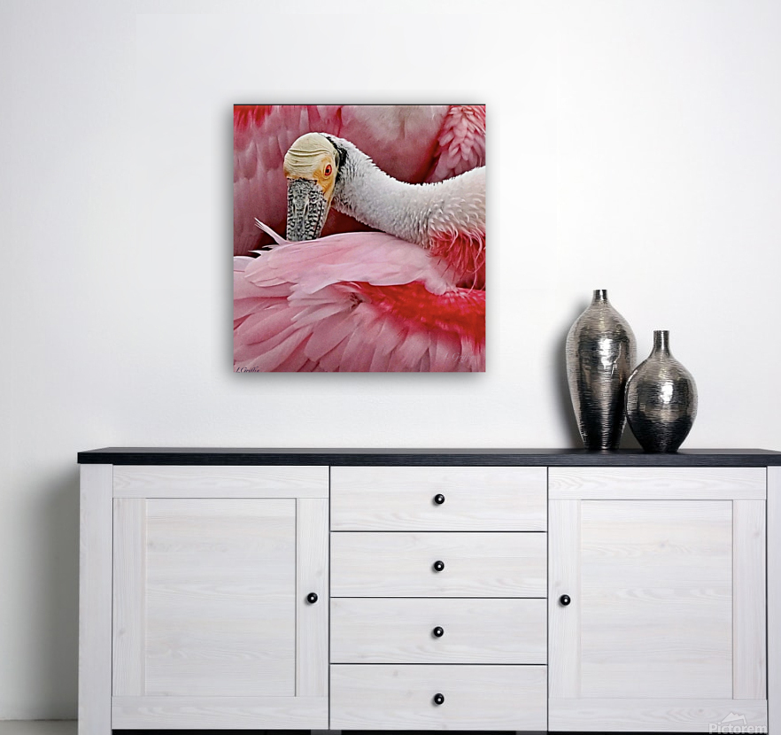 Pink portrait Reproduction